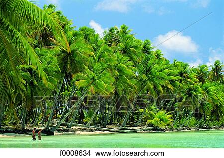 Bahamas, New Providence, Nassau View Large Photo Image Picture - Bahamas, New Providence, Nassau. Fotosearch