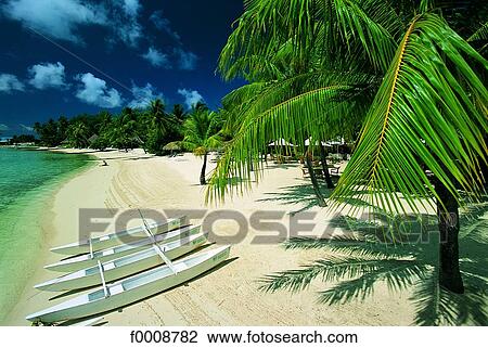 French Polynesia, Bora Bora, beach View Large Photo Image Stock Image - French Polynesia, Bora Bora, beach. Fotosearch