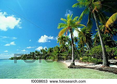 French Polynesia, Tahiti View Large Photo Image Stock Image - French Polynesia, Tahiti. Fotosearch