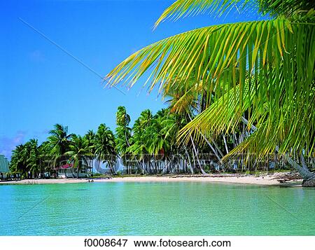 French Polynesia, Tuamotus archipelago, Takapoto View Large Photo Image Stock Photo - French Polynesia, Tuamotus archipelago, Takapoto. Fotosearch