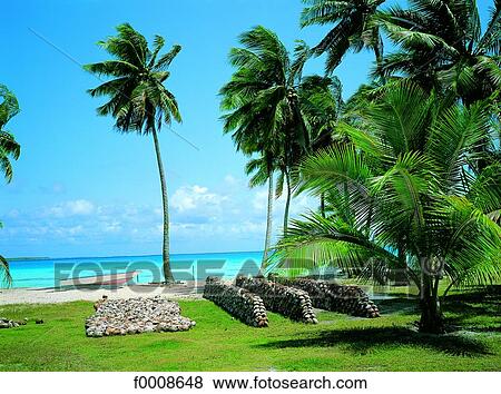 French Polynesia, Tuamotus archipelago, Takapoto View Large Photo Image Stock Photo - French Polynesia, Tuamotus archipelago, Takapoto. Fotosearch