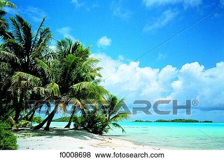 French Polynesia, Tuamotus archipelago, Takapoto View Large Photo Image Stock Photo - French Polynesia, Tuamotus archipelago, Takapoto. Fotosearch