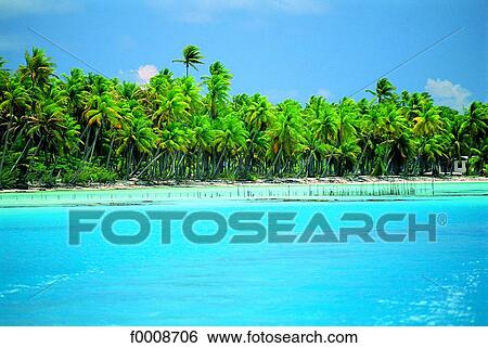 French Polynesia, Tuamotus archipelago, Takapoto View Large Photo Image Stock Photograph - French Polynesia, Tuamotus archipelago, Takapoto. Fotosearch