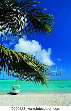 Mauritius, beach View Large Photo Image Stock Photo - Mauritius, beach. Fotosearch
