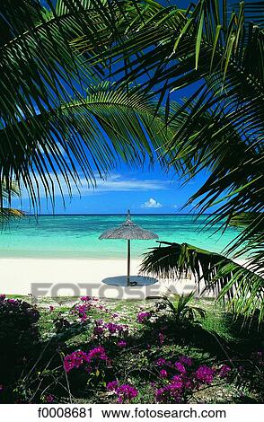 Stock Image - Mauritius, Trou-aux-biches, view on the sea. Fotosearch