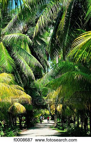Seychelles, La Digue Island View Large Photo Image Stock Photo - Seychelles, La Digue Island. Fotosearch