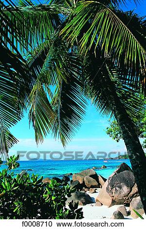 Stock Image - Seychelles, Praslin Island, beach and granite rocks. Fotosearch