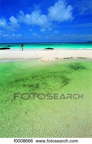 Seychelles, Praslin Island View Large Photo Image Stock Photograph - Seychelles, Praslin Island. Fotosearch