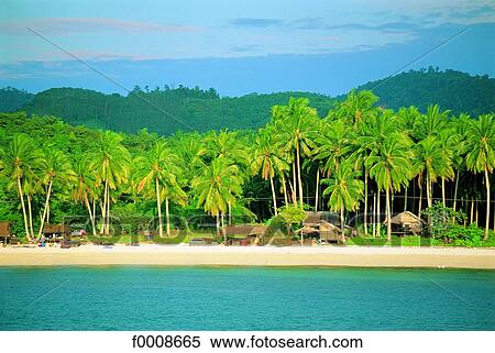 Stock Photography - Thailand, Koh Phi Phi. Fotosearch