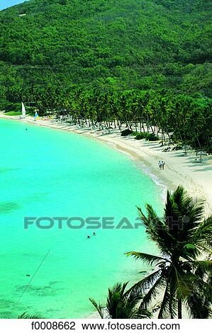 Virgin Islands, beach, aerial view View Large Photo Image Stock Image - Virgin Islands, beach, aerial view. Fotosearch