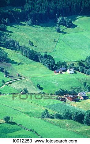 Stock Image - Norway, Sognefjord, Vik vicinity. Fotosearch