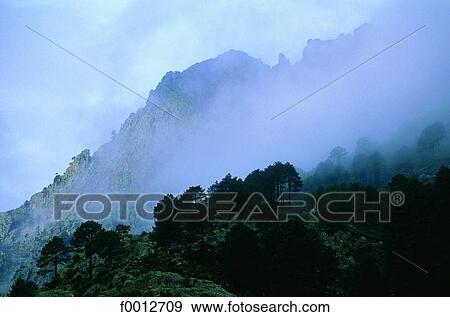 Stock Photo - Corsica, Corte vicinity, Restonica valley. Fotosearch
