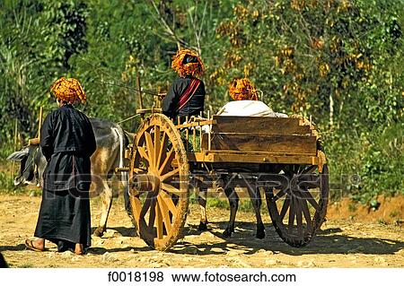 Stock Photo - Myanmar, Shan state, Inle lake, family, Pao ethnic group. Fotosearch