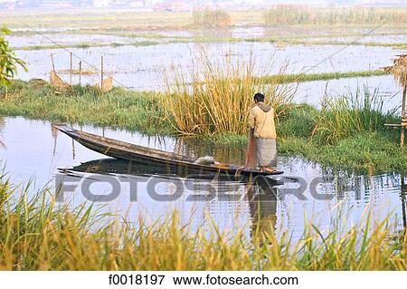 Myanmar, Shan state, Inle lake, fishing View Large Photo Image Stock Photo - Myanmar, Shan state, Inle lake, fishing. Fotosearch