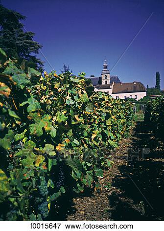France, Champagne region, Hautvilliers abbey where friar Dom Perignon discovered champagne View Large Photo Image Stock Photo - France, Champagne region, Hautvilliers abbey where friar Dom Perignon discovered champagne. Fotosearch