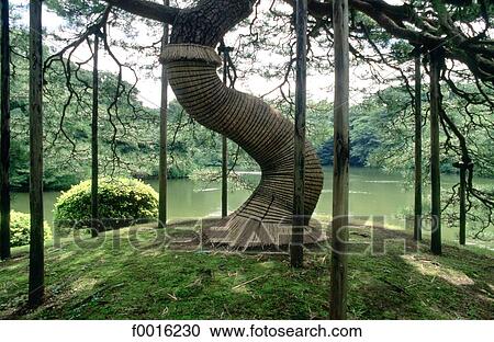 Japan, Tokyo, Harakuju park, very old tree sustained by stays View Large Photo Image Stock Image - Japan, Tokyo, Harakuju park, very old tree sustained by stays. Fotosearch