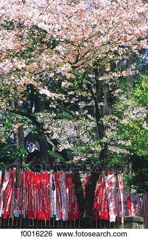 Stock Photograph - Japan, Tokyo, shintoïst temple. Fotosearch