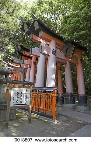 Japan, Kyoto, Fumishi Inari temple View Large Photo Image Stock Photo - Japan, Kyoto, Fumishi Inari temple. Fotosearch