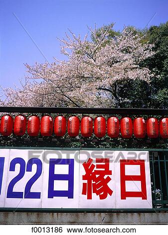 Stock Photograph - Japan, Kyoto, Shinto temple at spring. Fotosearch
