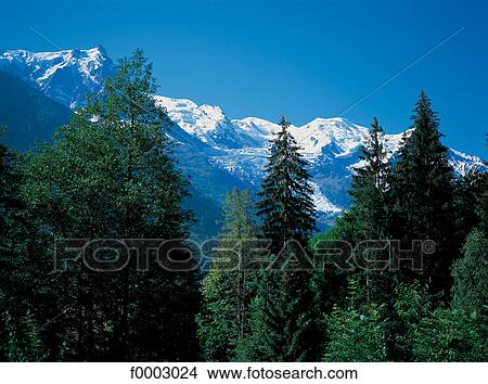 Picture - France, Alps, Chamonix valley, Mont Blanc. Fotosearch