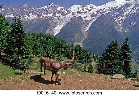 Stock Image - France, Alps, Chamonix valley, Mont Blanc, ibex. Fotosearch
