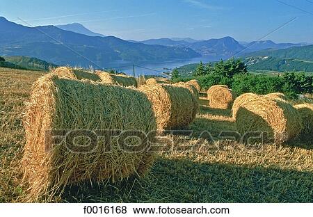 Stock Photo - France, Alps, hay stack. Fotosearch