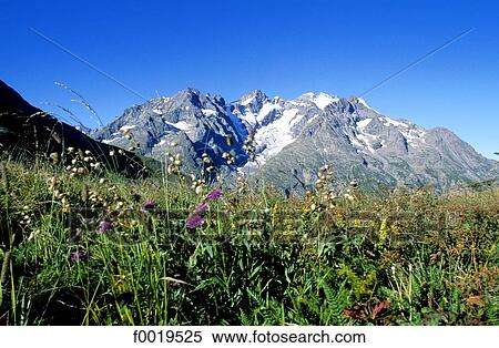 France, Alps, Meije massif View Large Photo Image Stock Photography - France, Alps, Meije massif. Fotosearch