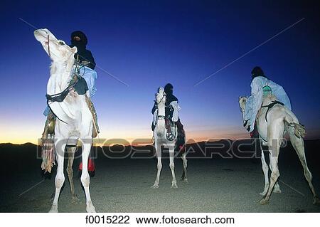 Algeria, Hoggar, near Tamanrasset, Tuareg caravan View Large Photo Image Stock Image - Algeria, Hoggar, near Tamanrasset, Tuareg caravan. Fotosearch