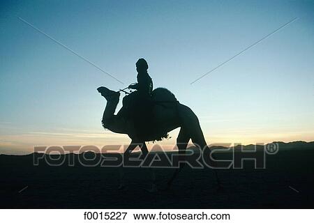 Stock Photo - Algeria, Hoggar, near Tamanrasset, Tuareg rider. Fotosearch