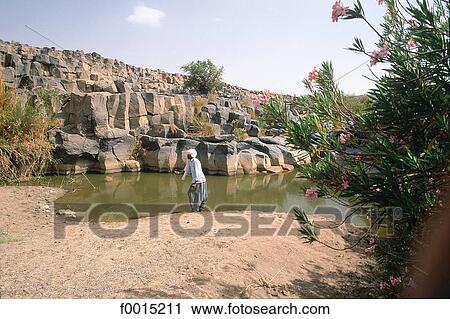 Algeria, Hoggar, oasis View Large Photo Image Stock Image - Algeria, Hoggar, oasis. Fotosearch