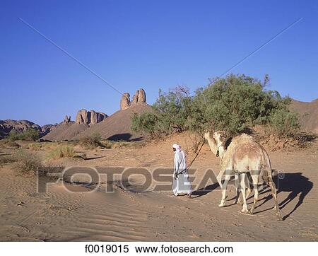 Stock Photography - Algeria, Hoggar, Tuareg camel-driver. Fotosearch