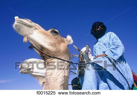 Algeria, Hoggar, Tuareg riders View Large Photo Image Stock Photography - Algeria, Hoggar, Tuareg riders. Fotosearch
