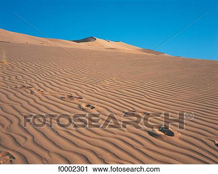 Stock Image - Algeria, Sahara, sand dunes. Fotosearch