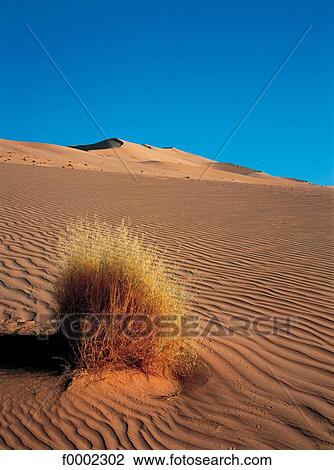 Algeria, Sahara, sand dunes View Large Photo Image Stock Image - Algeria, Sahara, sand dunes. Fotosearch