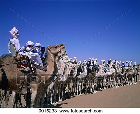Stock Image - Algeria, Tassili n'Ajjer, Djanet, camel race during the Sebiba (Tuareg festival). Fotosearch