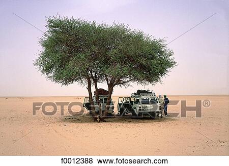 Algeria, Tassili n'Ajjer, rally View Large Photo Image Stock Photo - Algeria, Tassili n'Ajjer, rally. Fotosearch