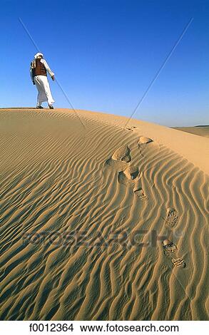Egypt, Libyan desert, Beduin on top of a sand dune View Large Photo Image Picture - Egypt, Libyan desert, Beduin on top of a sand dune. Fotosearch