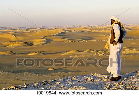 Picture - Egypt, Libyan desert, sea of sand. Fotosearch