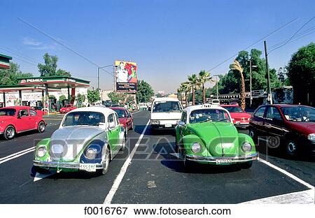 Stock Photo - Mexico, Mexico city, beetles. Fotosearch