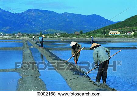 Stock Photo - Vietnam, Cam Ranh region, salt marsh. Fotosearch