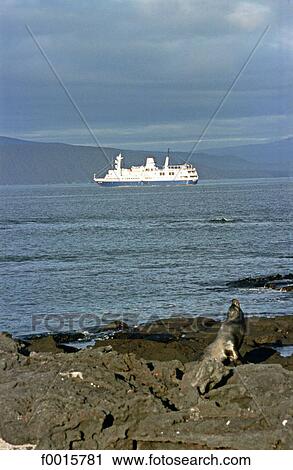 Stock Image - Ecuador, cruise in Galapagos islands. Fotosearch