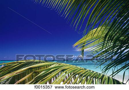 Mauritius, Morne Brabant View Large Photo Image Stock Photo - Mauritius, Morne Brabant. Fotosearch