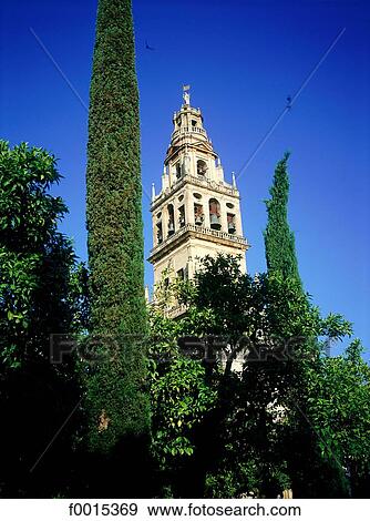 Spain, Andalusia, Cordoba, la Mezquita belfry-minaret View Large Photo Image Stock Photo - Spain, Andalusia, Cordoba, la Mezquita belfry-minaret. Fotosearch