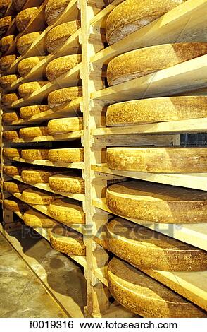 France, Franche Comté, Fort St Antoine, comté cheese cellar View Large Photo Image Stock Photograph - France, Franche Comté, Fort St Antoine, comté cheese cellar. Fotosearch