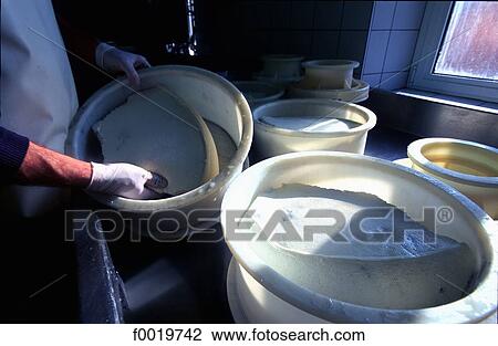 Stock Image - France, Franche Comté, Lake St Point, dairy farm. Fotosearch