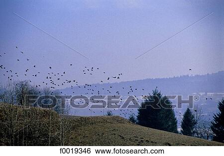 France, Franche Comté, Lake St Point View Large Photo Image Stock Photograph - France, Franche Comté, Lake St Point. Fotosearch