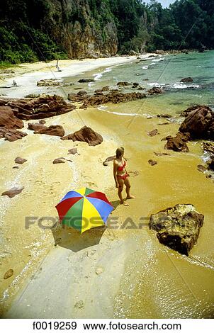 Malaysia, beach near Sherating View Large Photo Image Stock Photo - Malaysia, beach near Sherating. Fotosearch