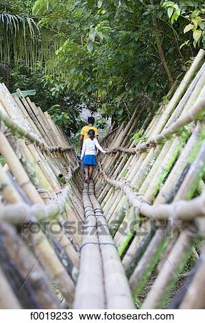 Malaysia, Borneo, Sarawak, Kuching, bamboo footbridge View Large Photo Image Stock Image - Malaysia, Borneo, Sarawak, Kuching, bamboo footbridge. Fotosearch