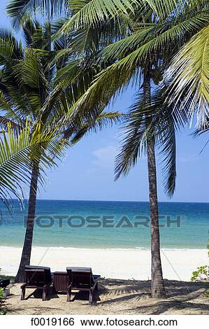 Malaysia, Kuala Terrenganu, beach View Large Photo Image Stock Photograph - Malaysia, Kuala Terrenganu, beach. Fotosearch