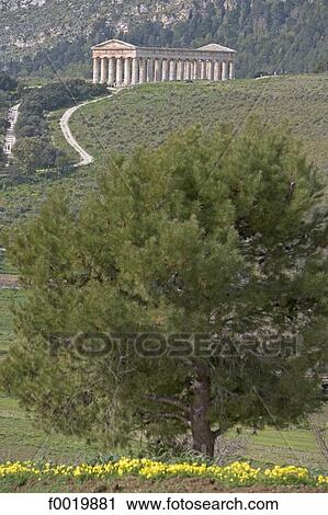 Italy, Sicily, Palermo, Duomo and barouches View Large Photo Image Stock Image - Italy, Sicily, Palermo, Duomo and barouches. Fotosearch
